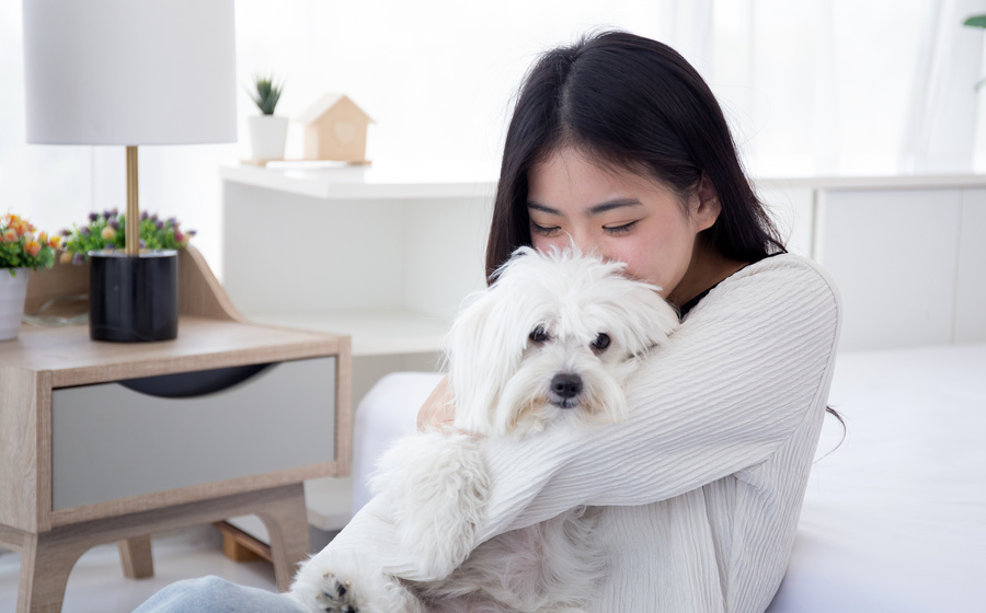 首发消息!「唐三两打酒铺」近日成功斩获近千万元天使轮融资,本轮投资由挑战者创投独家领投
