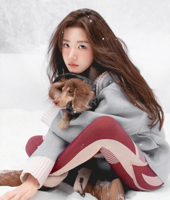 BBC的双重困境：道德伪装与媒体生态的崩塌